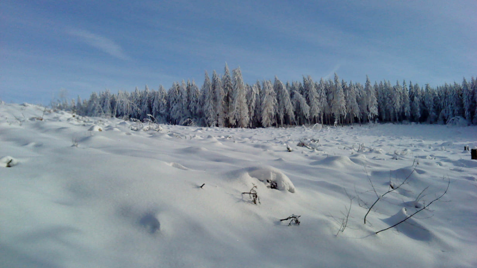 Association SKIMO ou comment skier sur le massif du Haut Folin