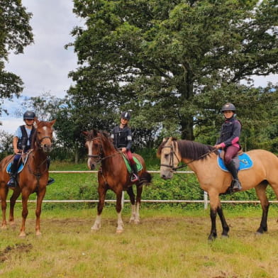 Ferme Equestre et  Chambres d hotes Gateau Stables