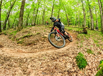 SebOppin, location de vélos - SAINT-BRISSON