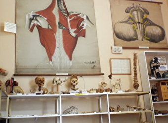 Visite Guidée du Musée de la Chirurgie Pr Christian Cabrol - MYENNES