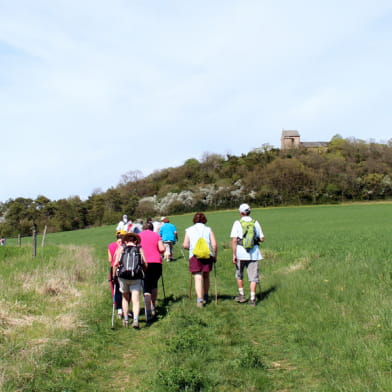 Circuit de randonnée : la boucle de Bazoches