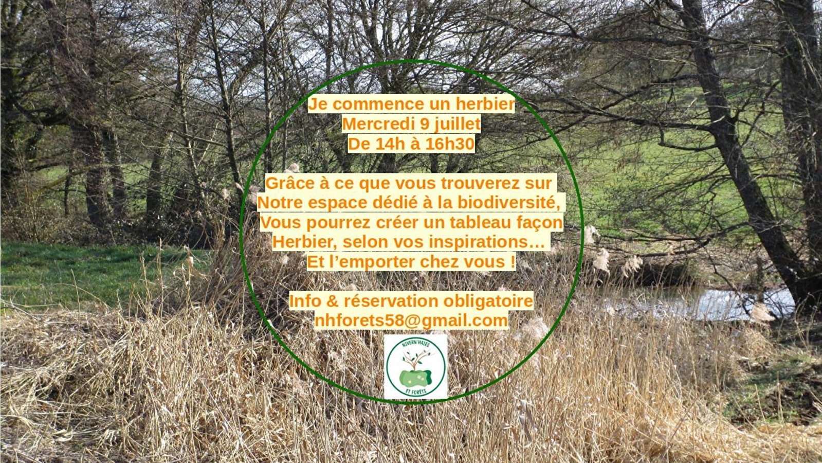 Atelier de fabrication d'un herbier sous forme de petit tableau