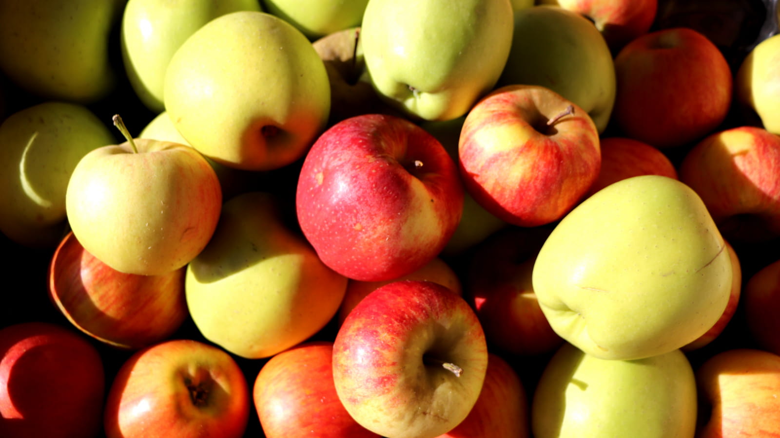 Fête de la Pomme