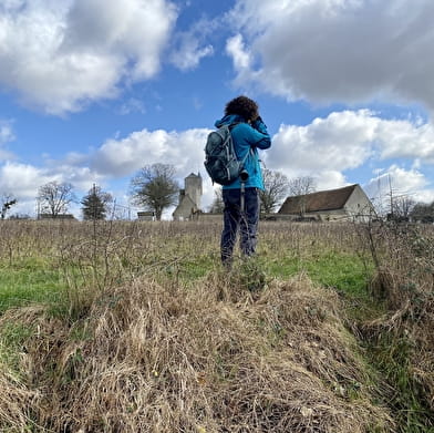 Promenons-nous dans les bois à Saint-Loup