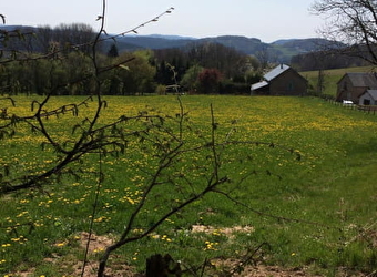 Les Hirondelles - OUROUX-EN-MORVAN