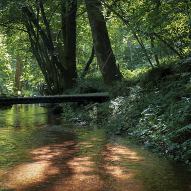 La vallée du Chalaux