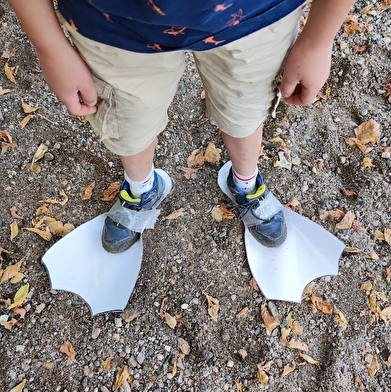 Les Aventuriers du Milieu de Loire : journée nature pour les 6-12 ans, spéciale 'Castor'