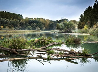 Sentier de l 'Alène - LUZY