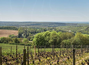 Domaine de la Coquillerie - NANNAY