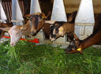 Aire de services pour camping-cars à la Ferme du Port Aubry - COSNE-COURS-SUR-LOIRE