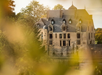 Château de Châtillon - CHATILLON-EN-BAZOIS