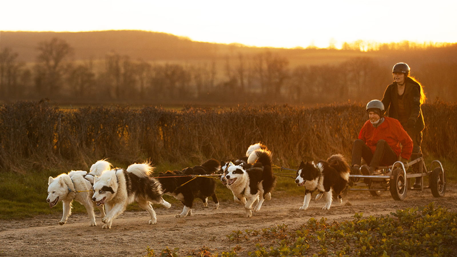 Excursion en chien de traîneaux par Wood'Cie Ranch Canin