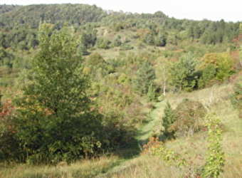 Sentier de la nature du Coteau du Chaumois à Parigny-les-Vaux - 