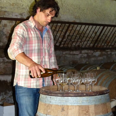 Visite de la cave et du vignoble 'La Perrine' 